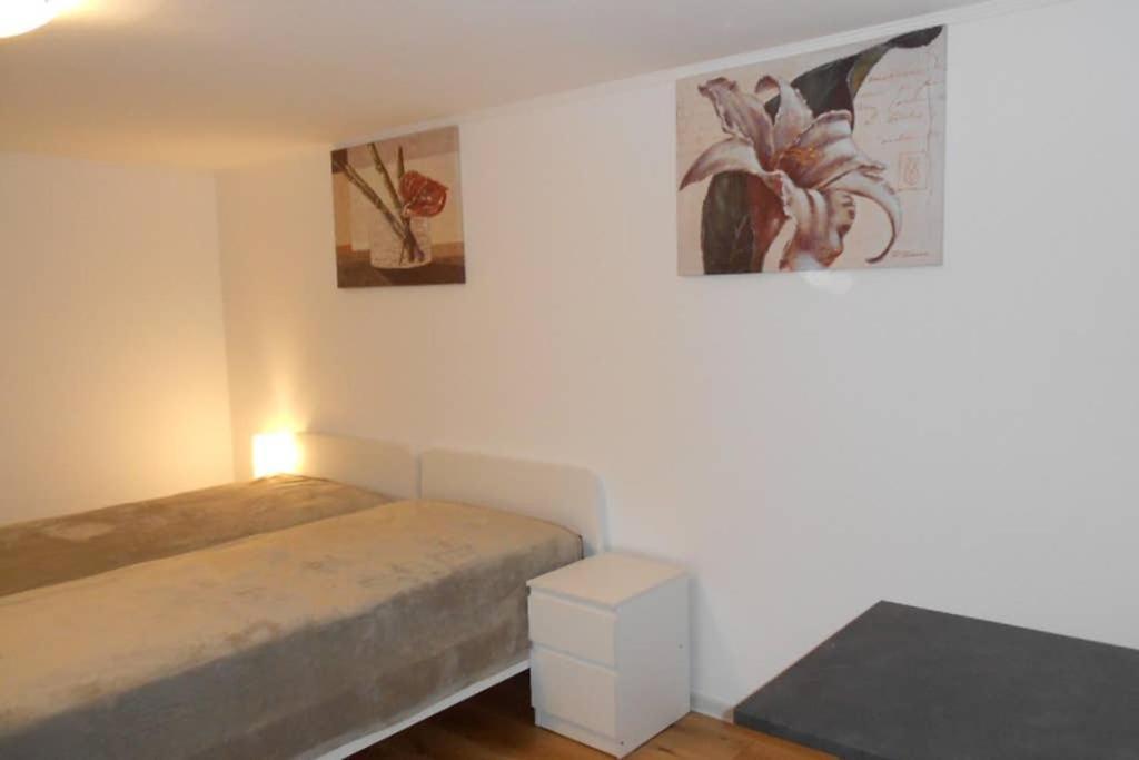 Zimmer In Direkter Naehe Zu Basel Grenzach-Wyhlen Extérieur photo